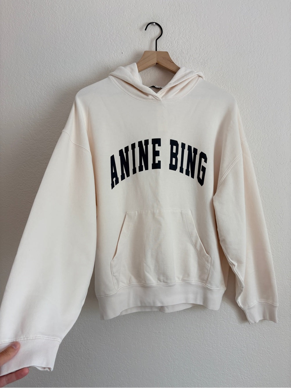 NWT Anine Bing Harvey Pale Pink Logo Pullover Hoodie (M)