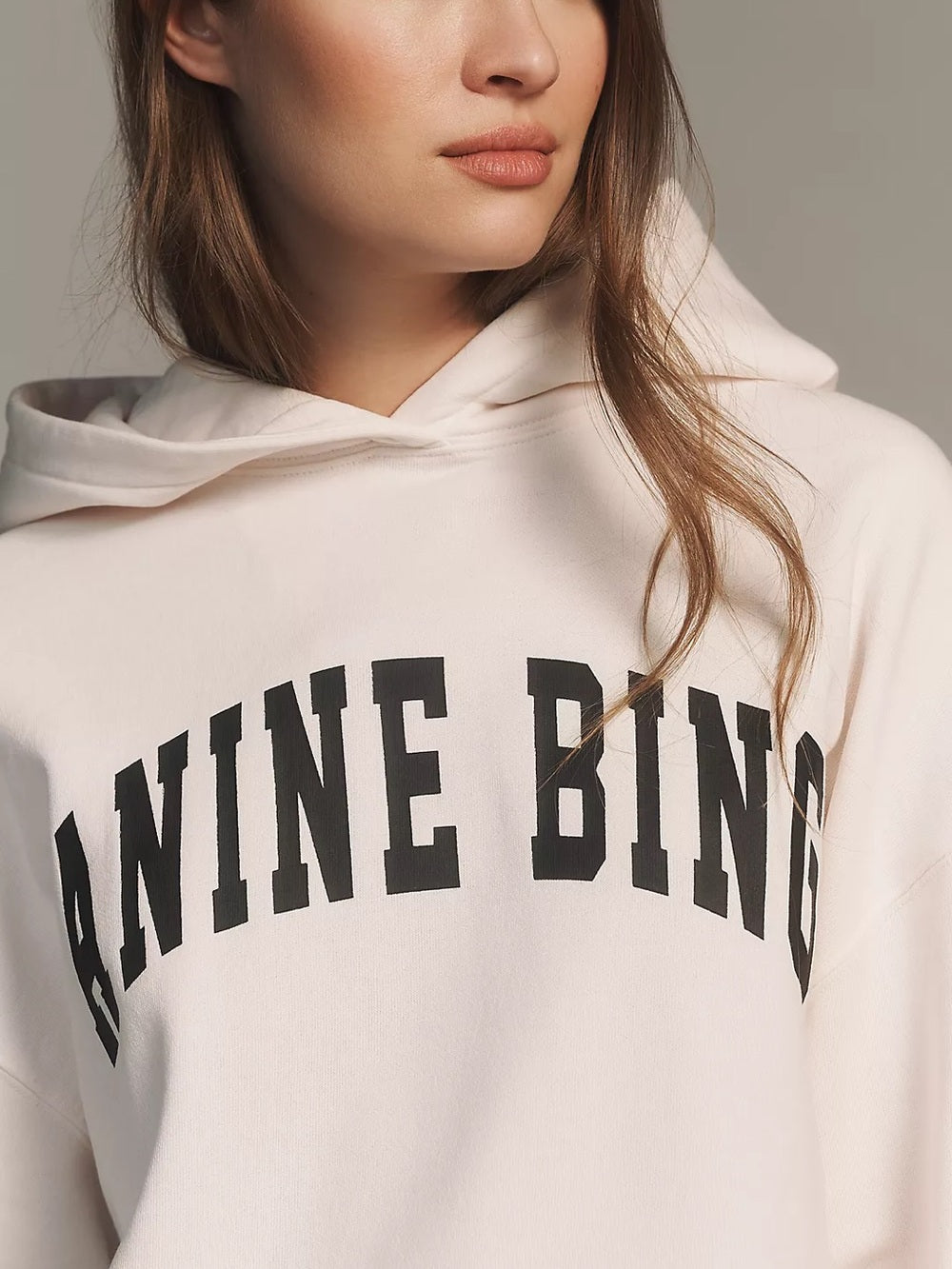 NWT Anine Bing Harvey Pale Pink Logo Pullover Hoodie (M)