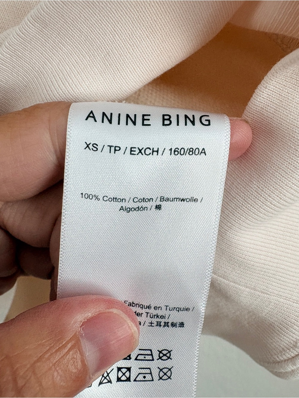 NWT Anine Bing Harvey Pale Pink Logo Pullover Hoodie (M)